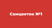 Самцветок №1 - Доставка цветов и букетов